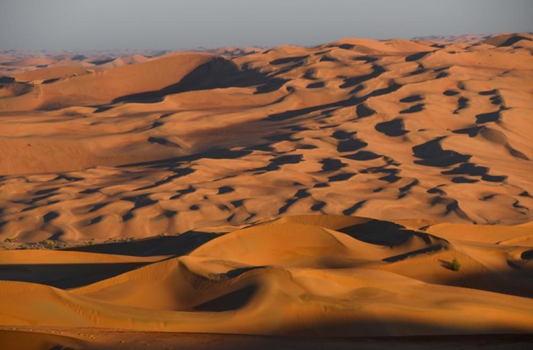 Dakar 2020: Stage 11 Keeping Safe Down The Stretch