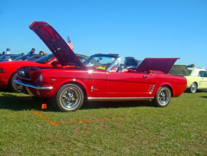 mustang-2020-02-25_01-32-28_576333