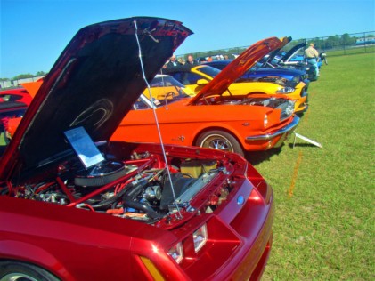 mustang-2020-02-25_01-32-32_827700