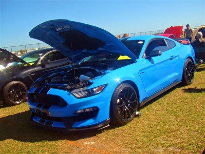 mustang-2020-02-25_01-33-00_899742