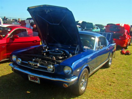 mustang-2020-02-25_01-33-51_209385