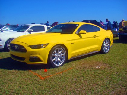 mustang-2020-02-25_01-34-14_572643