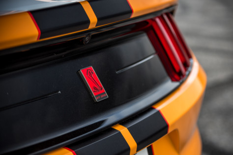 sibling-rivalry-steeda-video-series-compares-shelby-gt350r-gt500-2020-02-25_18-59-35_938547