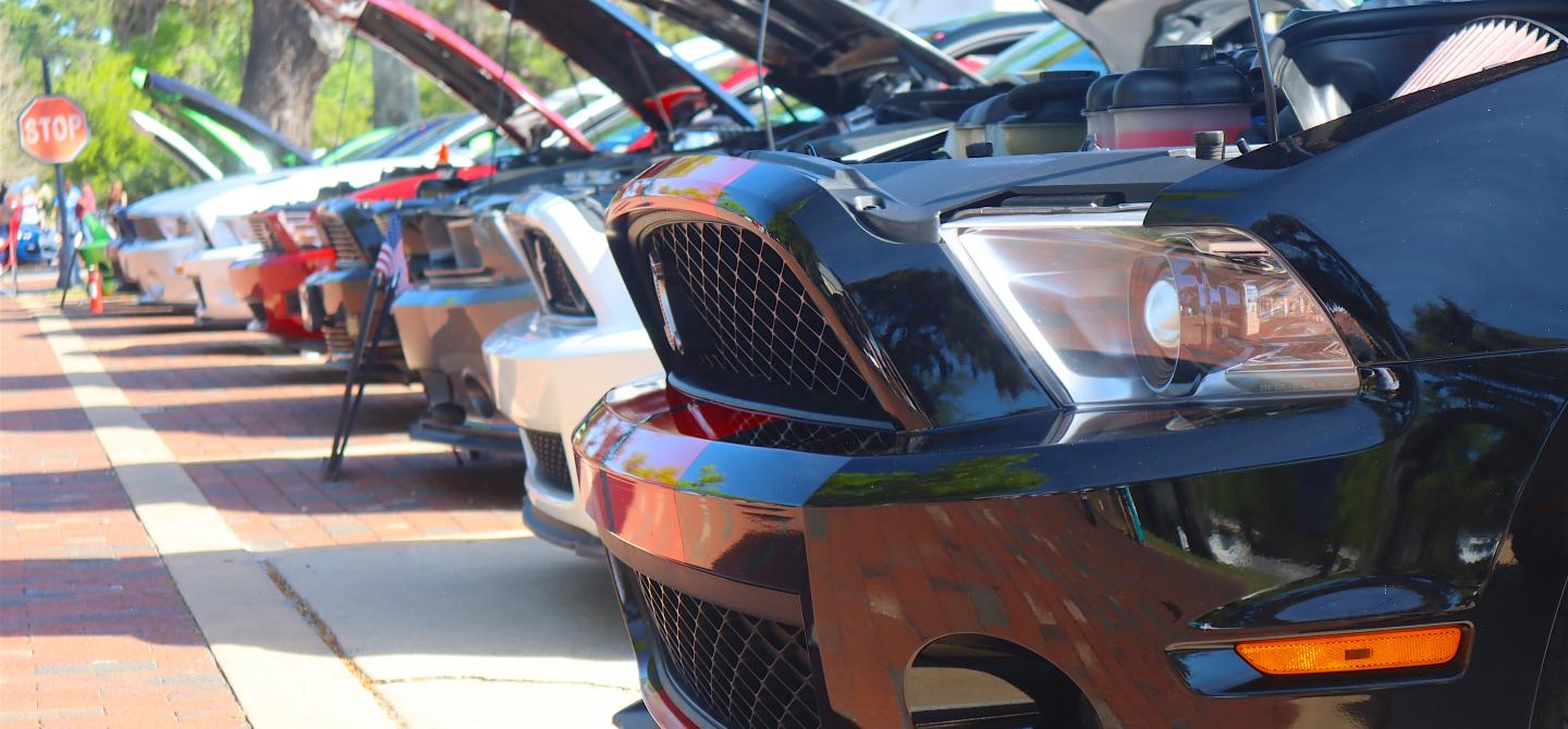Ten Favorite Mustangs From The 33rd Annual Mustang & Ford Roundup