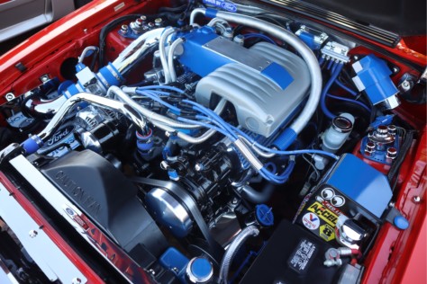 ten-favorite-mustangs-from-the-33rd-annual-mustang-ford-roundup-2020-03-18_01-56-37_989761
