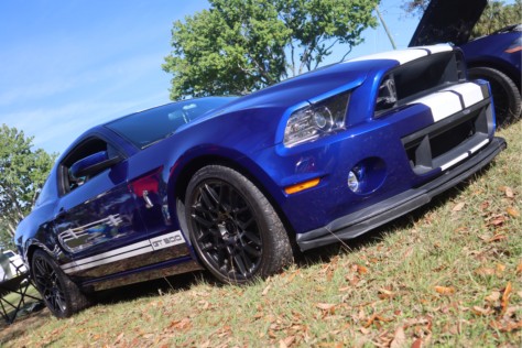 ten-favorite-mustangs-from-the-33rd-annual-mustang-ford-roundup-2020-03-18_01-58-29_695681