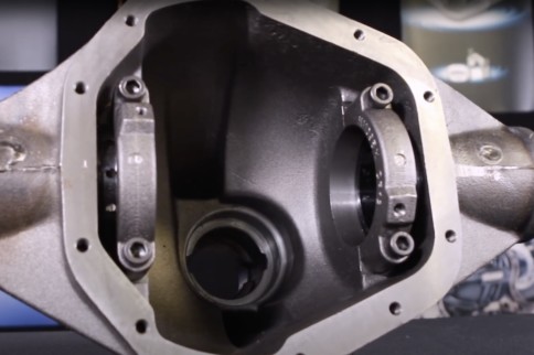 Video: When It Comes To Rear Ends; This Is Why You Need Some Strange