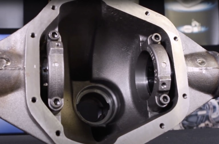 Video: When It Comes To Rear Ends; This Is Why You Need Some Strange