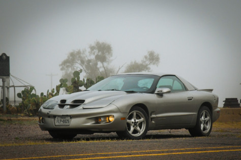 project-dirty-bird-2020-11-12_08-46-02_638396