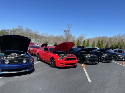 ponies-in-the-smokies-returns-bigger-than-ever-2021-03-29_21-22-19_137719