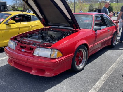 ponies-in-the-smokies-returns-bigger-than-ever-2021-03-29_21-25-58_477774