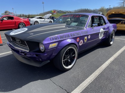 ponies-in-the-smokies-returns-bigger-than-ever-2021-03-29_21-27-48_039751