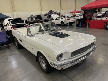 ponies-in-the-smokies-returns-bigger-than-ever-2021-03-29_21-32-24_180920