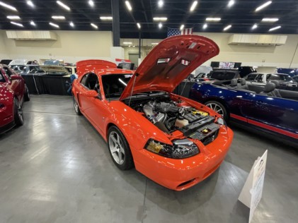 ponies-in-the-smokies-returns-bigger-than-ever-2021-03-29_21-45-45_970455