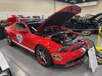 ponies-in-the-smokies-returns-bigger-than-ever-2021-03-29_22-15-16_758256