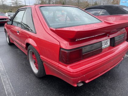 ponies-in-the-smokies-returns-bigger-than-ever-2021-03-29_22-42-32_111597