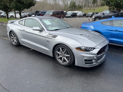 ponies-in-the-smokies-returns-bigger-than-ever-2021-03-29_22-48-40_831715