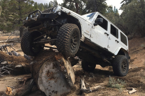 centerforce-premium-off-road-clutch-replacement-from-extreme-terrain-2021-08-09_12-24-56_438246