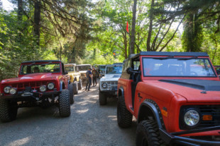 Northwest Bronco Round Up Gathers Along The Scenic Oregon Coast