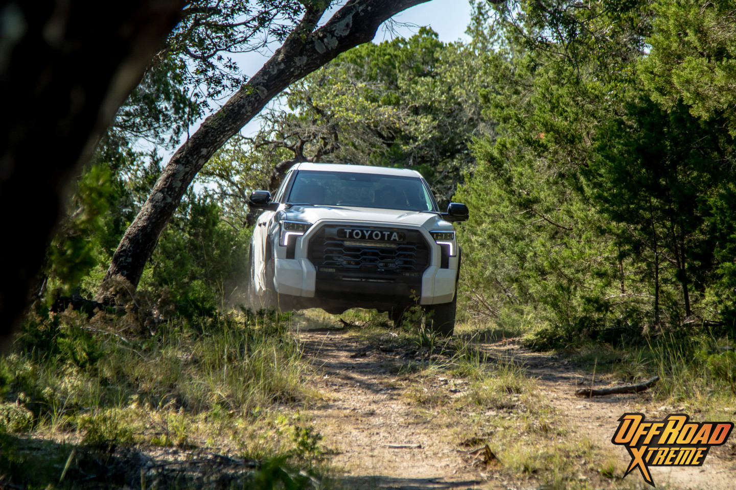 2022 Tundra TRD Pro