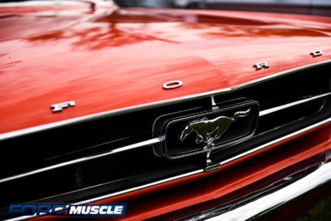 the-holley-ford-festival-2021-huge-saturday-photo-gallery-2021-10-02_19-30-48_134442