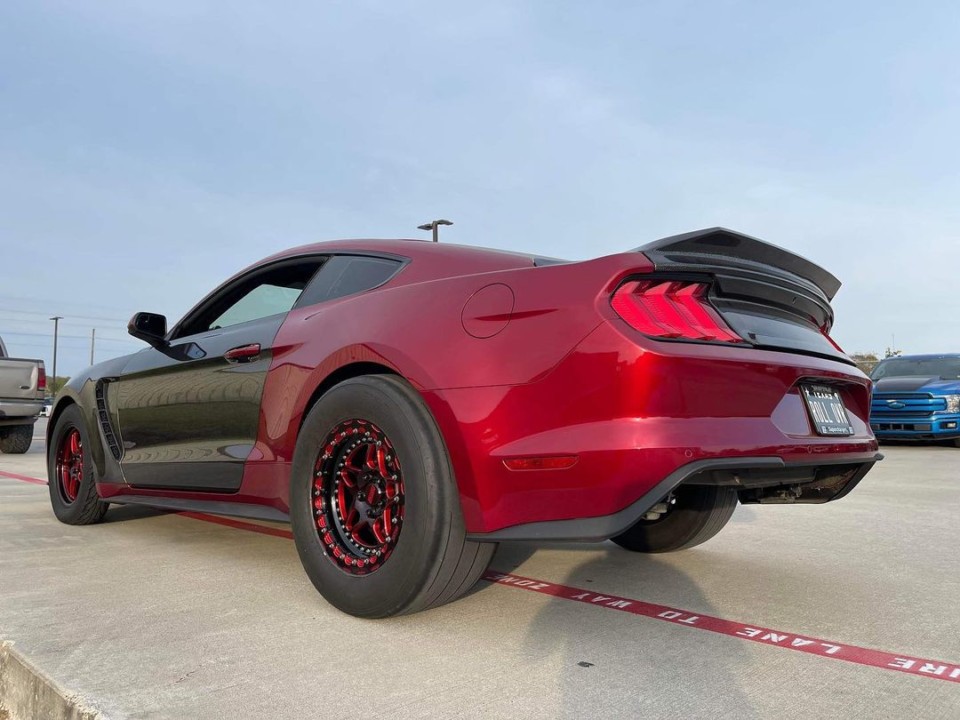 Mustang
