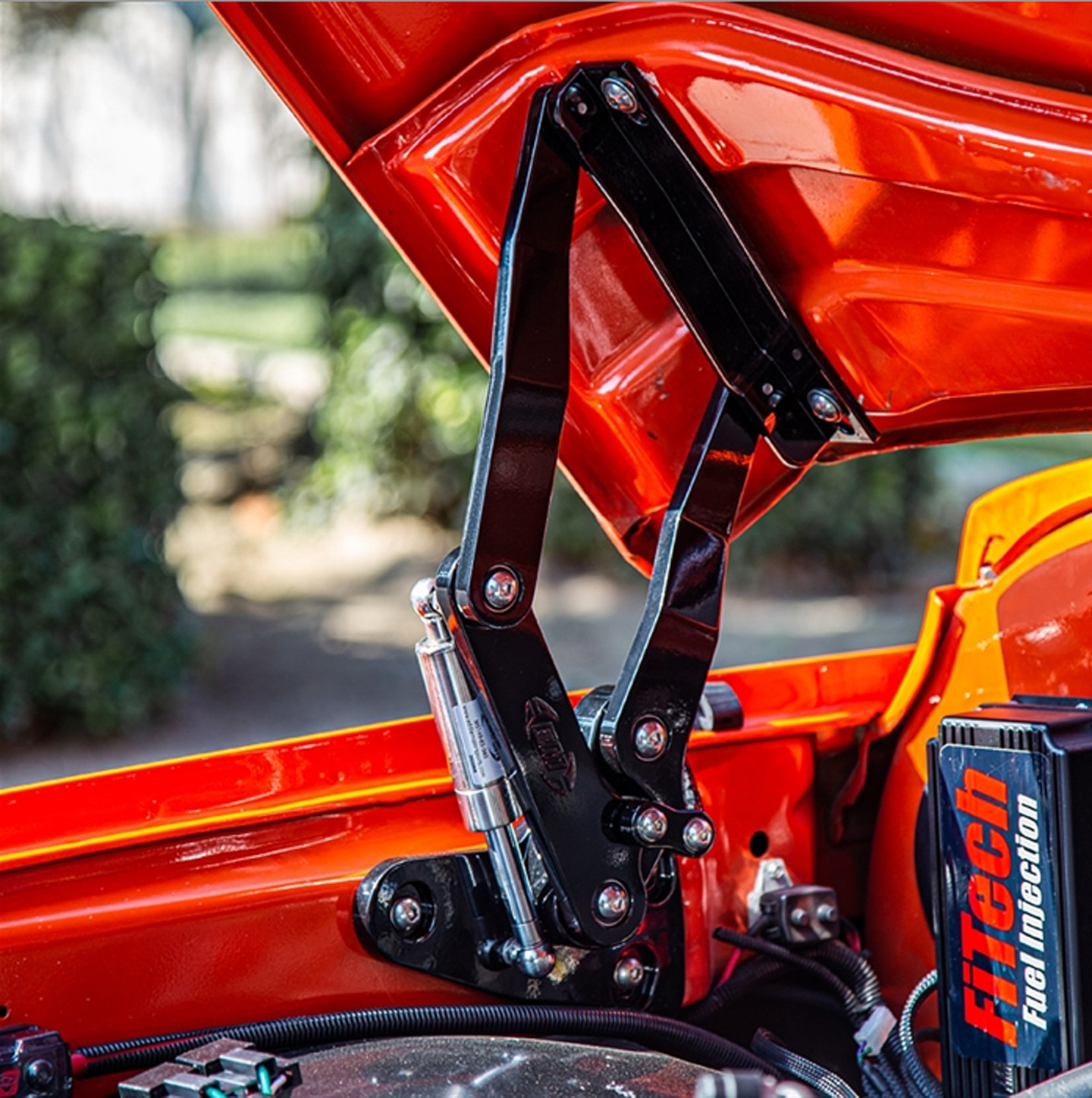 C10