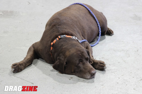 drag-and-drive-madness-sick-week-2022-coverage-2022-02-08_16-56-11_819266
