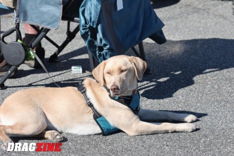 drag-and-drive-madness-sick-week-2022-coverage-2022-02-10_17-40-01_430100