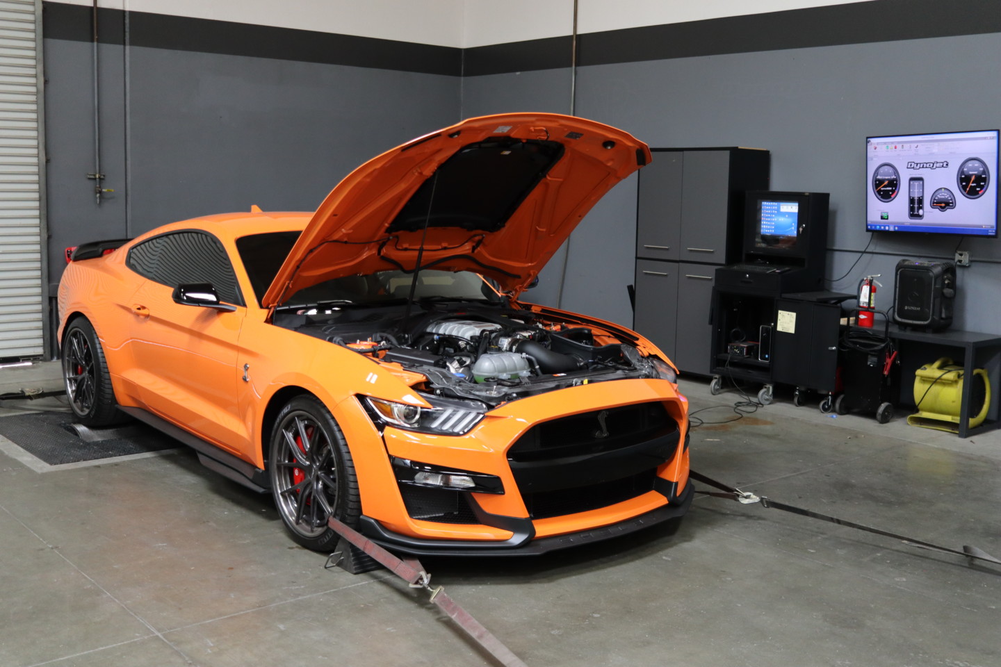 Ford Muscle