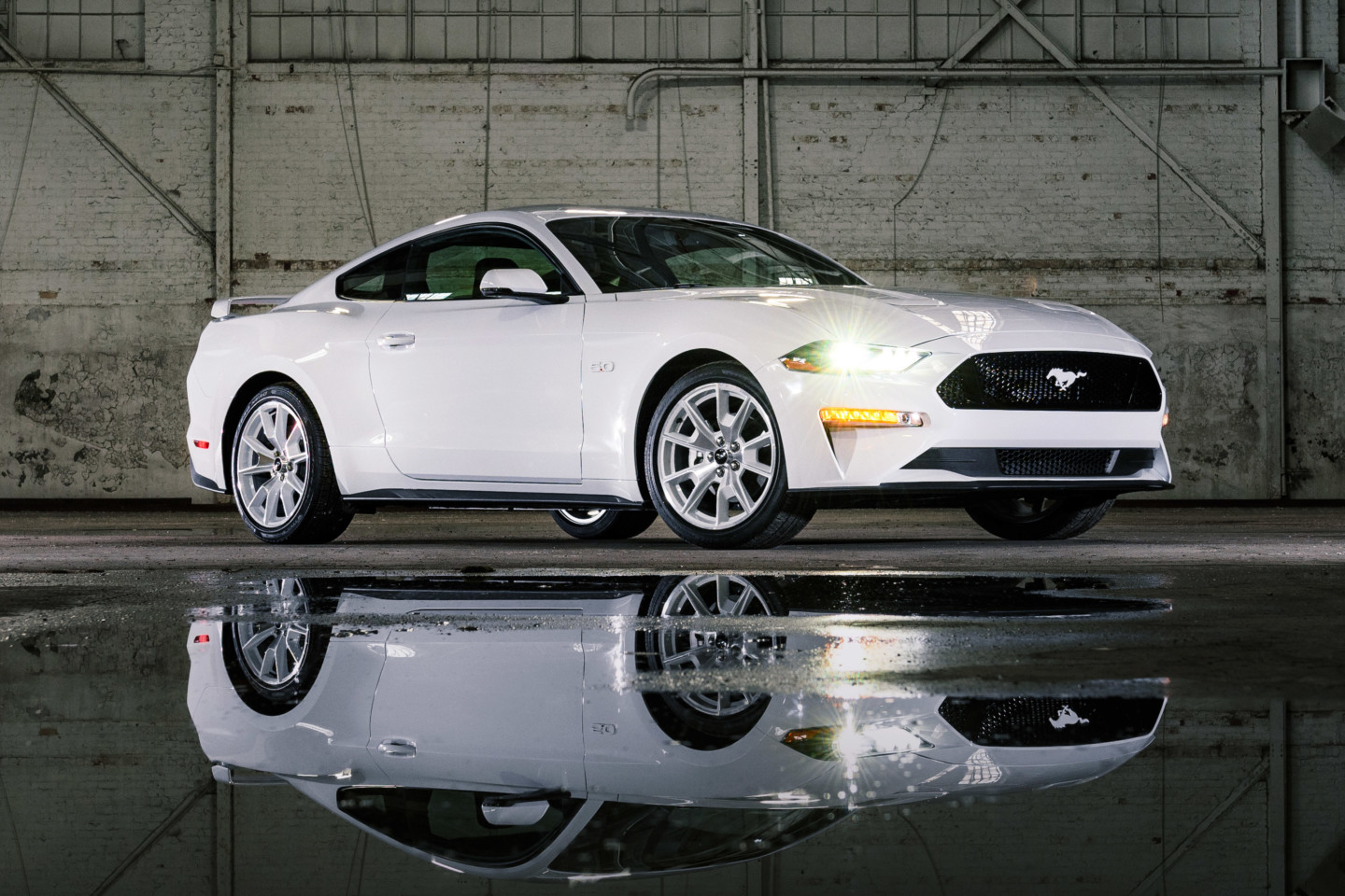 Mustang
