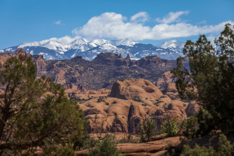 rockstar-garage-conquers-moab-easter-jeep-safari-2022-05-16_14-12-49_839874