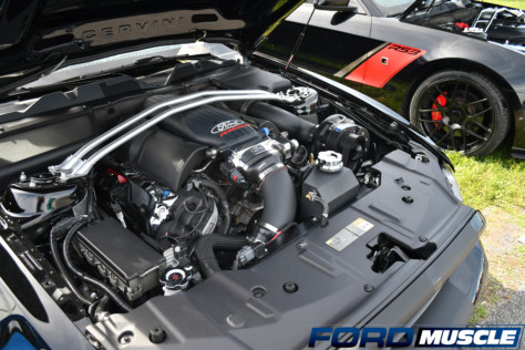carlisle-ford-nationals-kicks-ford-fans-into-high-gear-2022-06-03_19-35-45_544097