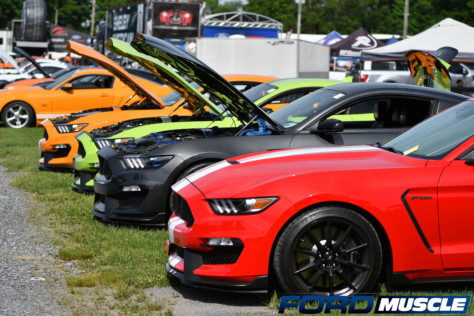 carlisle-ford-nationals-kicks-ford-fans-into-high-gear-2022-06-03_19-37-39_592548