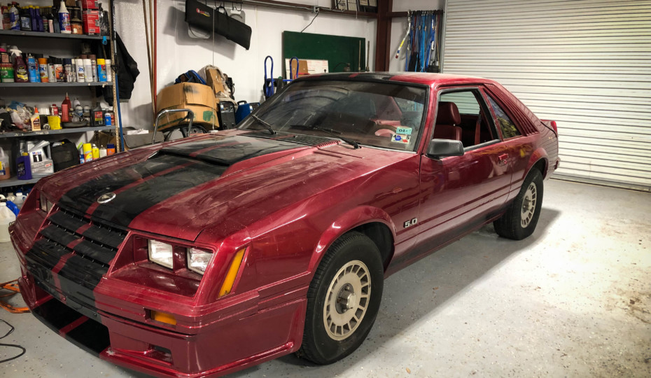 Feel Good Friday: A Prodigal Mustang Returns