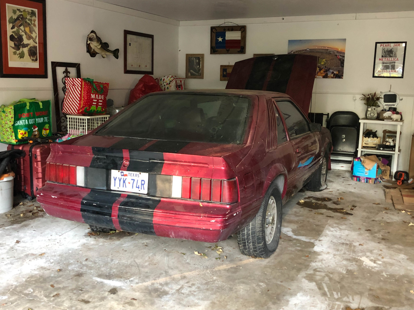 Mustang