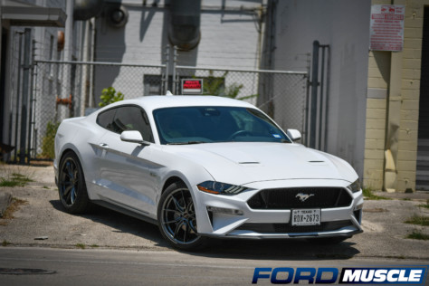 forgeline-f01-wheels-flow-into-fathers-day-surprise-form-2022-06-27_07-44-03_557825