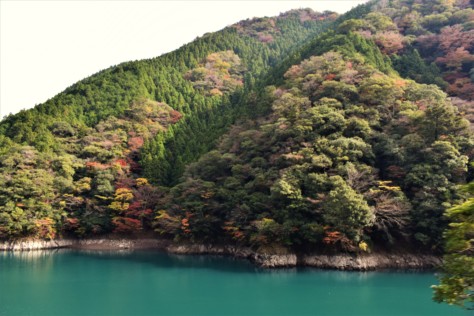 super-rindo-4-days-exploring-japans-longest-public-4x4-trail-2022-06-16_20-23-54_172623