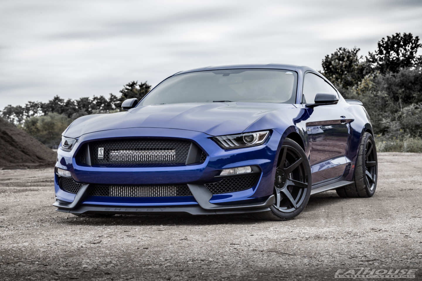 Ford Muscle