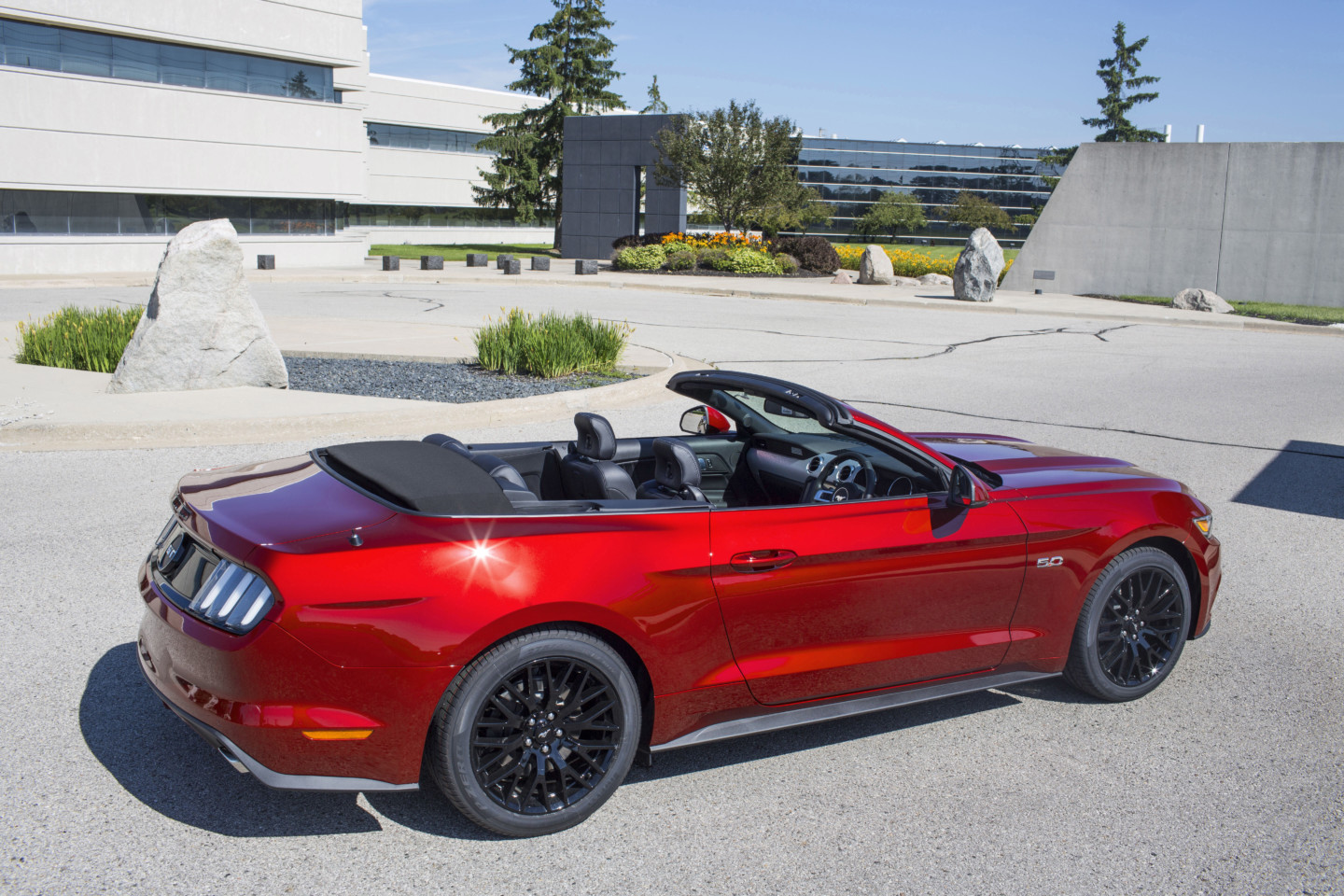 Mustang