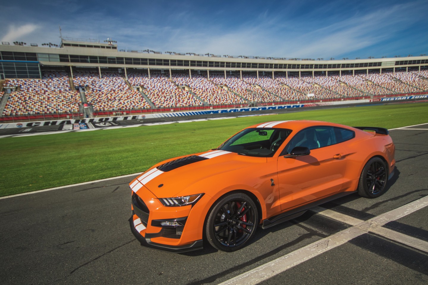 Mustang