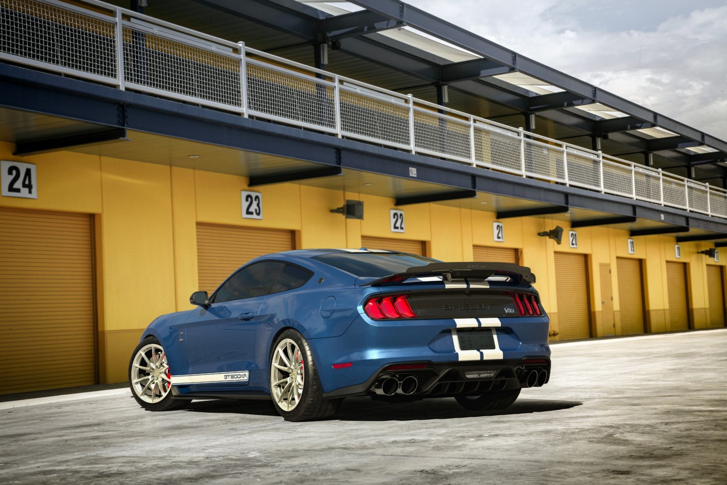 Team Shelby