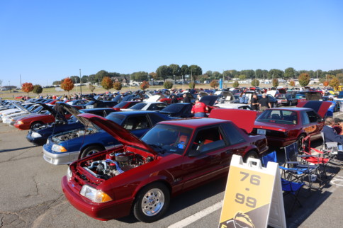 726 Foxes Flocked To Foxtoberfest & We Picked 10 Favorites