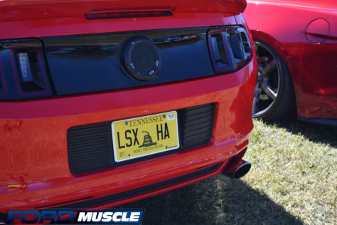 ford-muscles-top-5-vanity-plates-of-holley-ford-fest-2022-10-11_19-41-28_751533