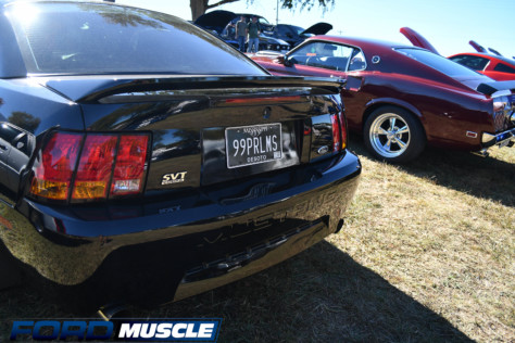 ford-muscles-top-5-vanity-plates-of-holley-ford-fest-2022-10-11_19-42-55_185696