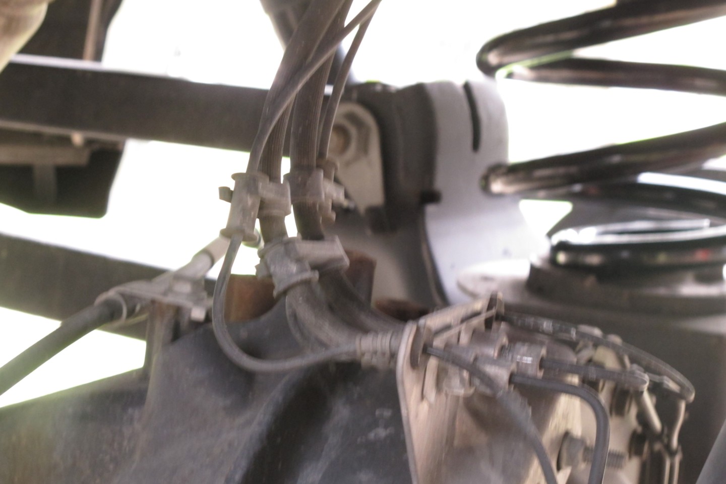 coil springs