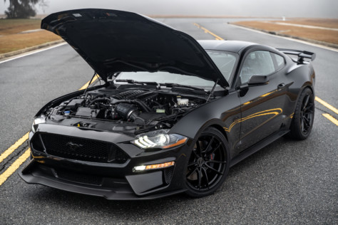 steedas-supercharged-q850-mustang-is-an-825hp-predator-hunter-2023-01-07_18-14-54_480007