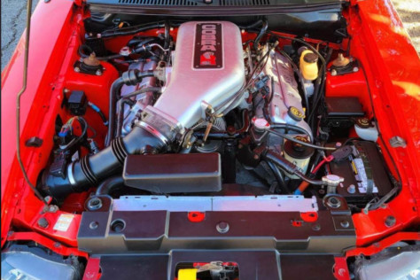 true-blue-ford-fan-added-a-2000-svt-cobra-r-keeper-to-his-collection-2023-01-18_09-35-48_677029