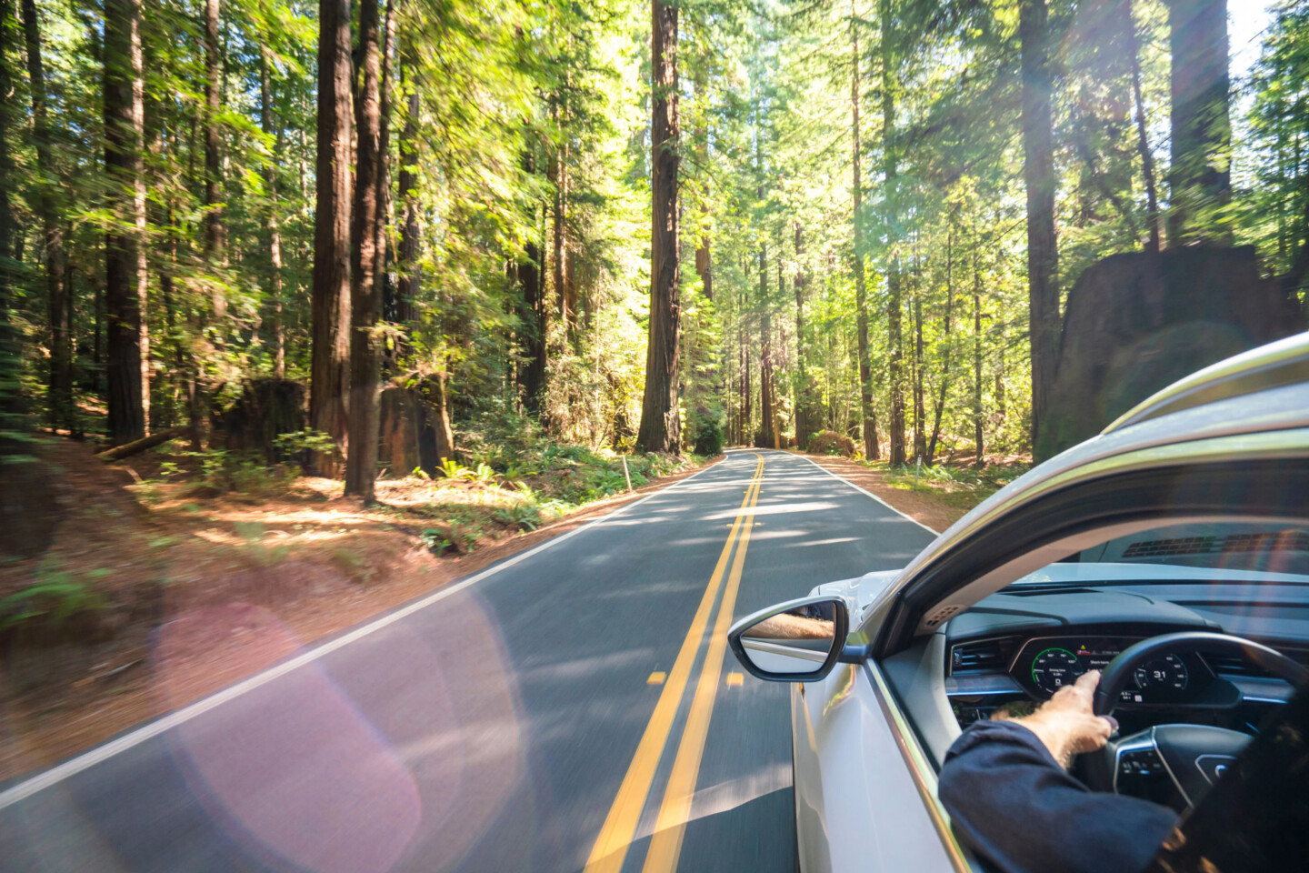 Why you need an EV