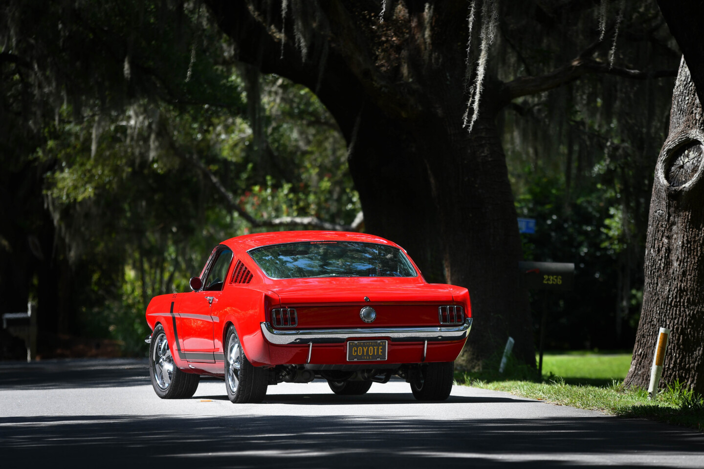 1965 Mustang